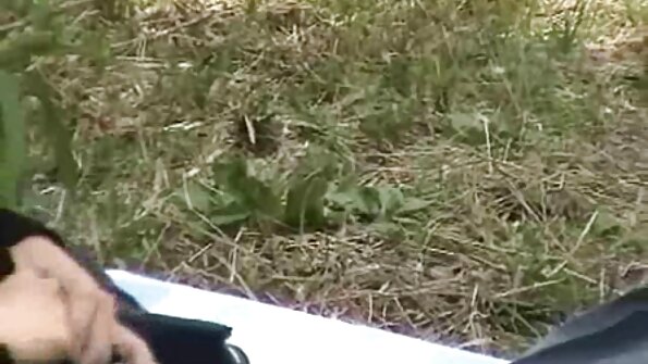 Wild hotties Kitty Fox lan Nikki Fox njupuk sing assholes dilatih